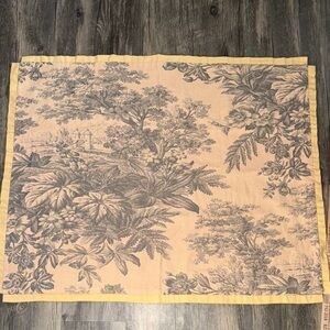 Pottery Barn Floral set of Two Euro Shams -
 Matine Toile pattern